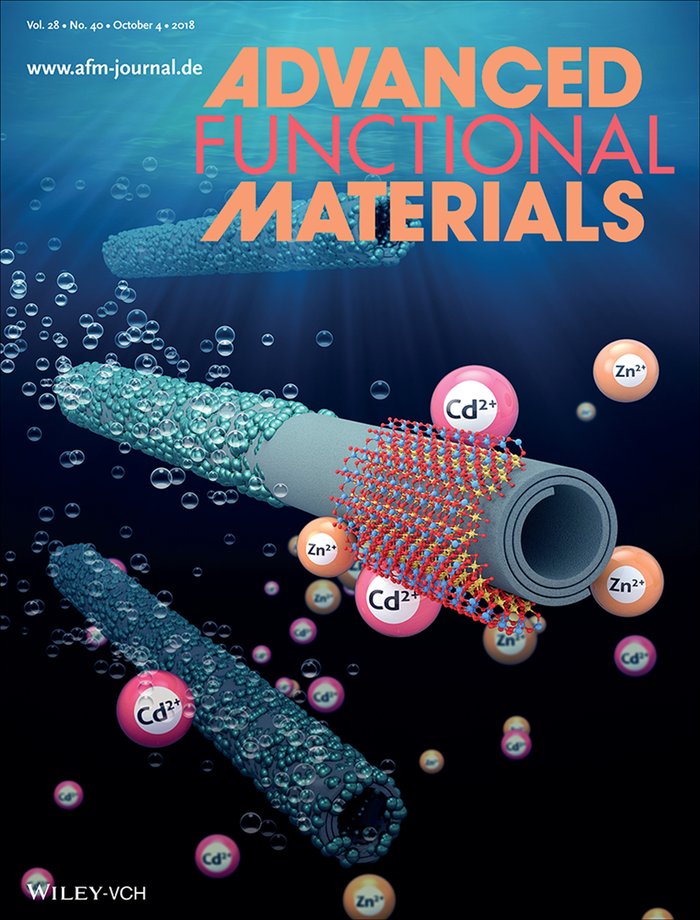 Advanced Functional Materials cover, 2018