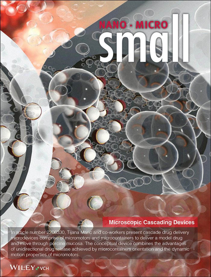 Small cover, 2023